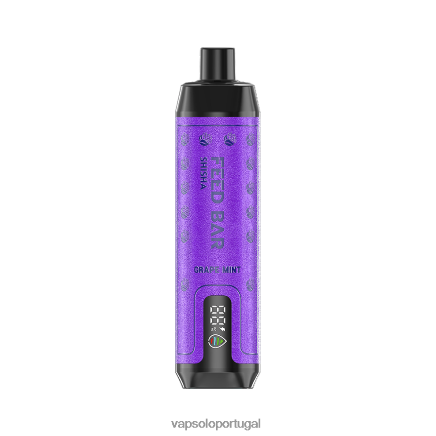 VapSolo SHISHA vaporizador descartável hortelã de uva V608206 - Vapsolo Review