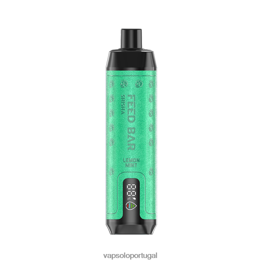 VapSolo SHISHA vaporizador descartável hortelã-limão V608207 - Vapsolo Wholesale